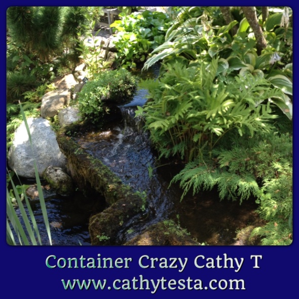 Water garden Gledhill